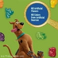 thumbnail image 5 of Pack of 2 - Scooby Doo Gluten Free Fruit Flavored Snacks Value Pack 22 ct / 0.8 oz, 5 of 5