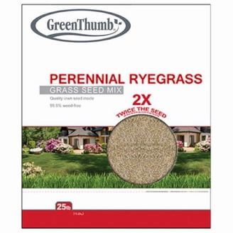 Zenith Zoysia Grass Seed - 25 Lbs. - Walmart.com