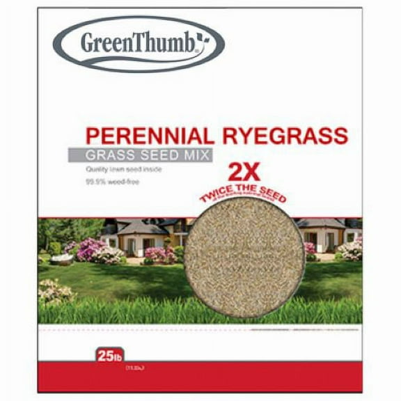 Barenbrug GTPRG25 25 LB Bag of Perennial Ryegrass Seed Mix - Quantity of 1