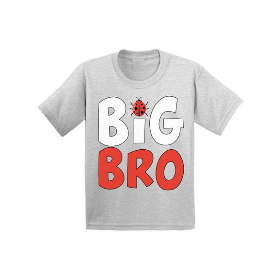 Awkward Styles Little Ladybug Clothing Ladybug Shirts Big Brother Baby Announcement Infant Shirt for Boys Pregnancy Announcement T Shirt for Kids Big Bro Infant T-Shirt Ladybug Clothes Collection