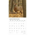 thumbnail image 4 of Monster Bucks | 2026 12x24" (Hanging) Monthly Square Wall Calendar | Plato, 4 of 9