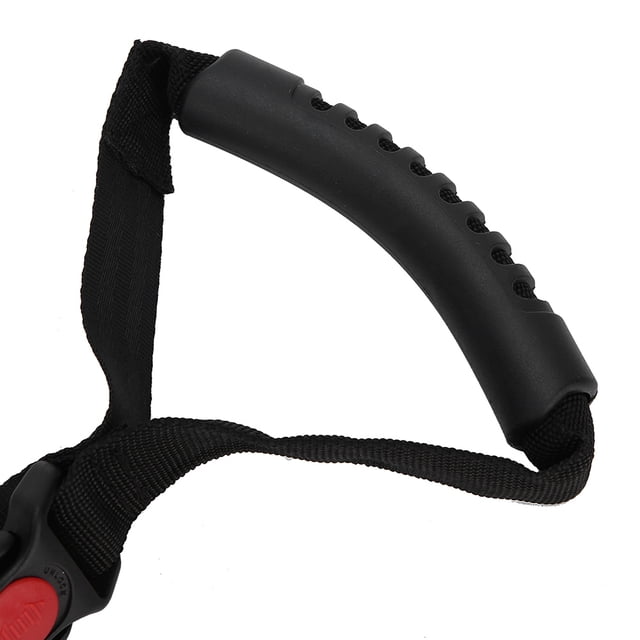 Grab Handle, Double Lock Easy to Use Auto Car Grab Handle, Disable Outdoor Elderly for Home