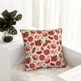 thumbnail image 6 of Yiaed Tomatoes Print Pillow Covers Super Soft Decorative Square Throw Pillow Covers Case Cushion Covers for Sofa Couch Bedroom Car Decor（No pillow core）-16"x16", 6 of 7