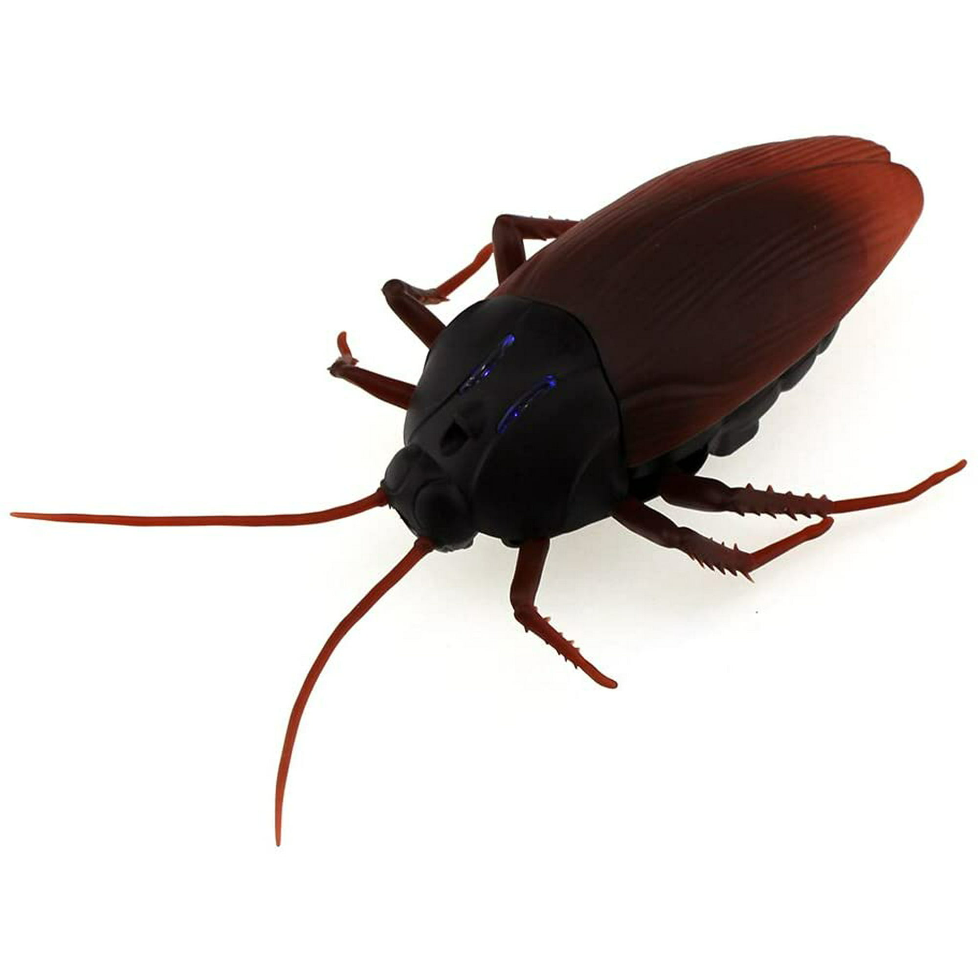 Rc Cockroach Remote Control Car Vehicle Animal Toys Electronic Realistic  Fake Big Insect Bug Glowing Eyes Kids Gift | Walmart Canada