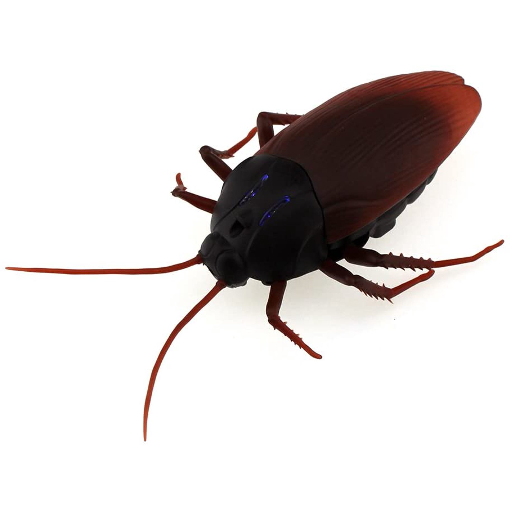 Rc Cockroach Remote Control Car Vehicle Animal Toys Electronic Realistic Fake Big Insect Bug Glowing Eyes Kids Gift | Walmart Canada Rc Cockroach Remote Control Car Vehicle Animal Toys Electronic Realistic Fake Big Insect Bug Glowing Eyes Kids Gift | Walmart Canada