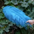thumbnail image 3 of 10 piezas/lote de plumas de avestruz blancas naturales para manualidades, 15-45 cm, decoración de bodas, fiestas, centros de mesa, carnaval, Plumas Deco, 3 of 5