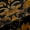 Black Gold, variant on Manfei Boys Girls Boho Flowers Black Out Curtains,Bohemian Damask Curtains Pack of 2 (42x63 Each),Traditional Flower Bedroom Curtains,Lightweight Room Decor