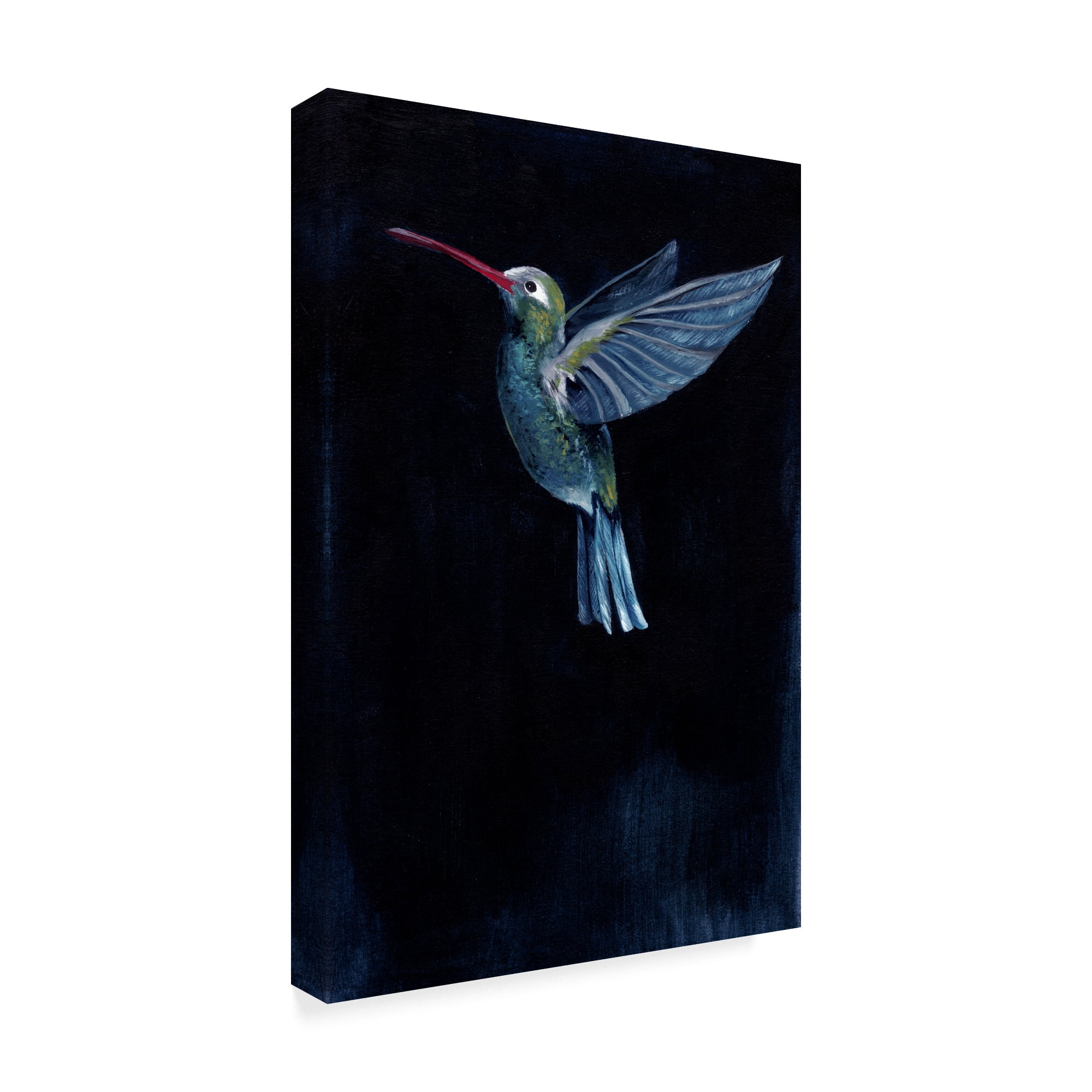 Trademark Fine Art 'Mountain Gem I' Canvas Art by Grace Popp