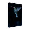 thumbnail image 2 of Trademark Fine Art 'Mountain Gem I' Canvas Art by Grace Popp, 2 of 4