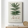 thumbnail image 6 of Botanical Society Ferns XII Premium Gallery Wrapped Canvas - Ready to Hang, 6 of 9
