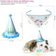 thumbnail image 2 of Bufanda de feliz cumpleaños para perro y Gato, bonito sombrero de fiesta, sombrero de cumpleaños para niña y niño, conjunto de disfraz de fiesta de cumpleaños para mascota, 2 of 5