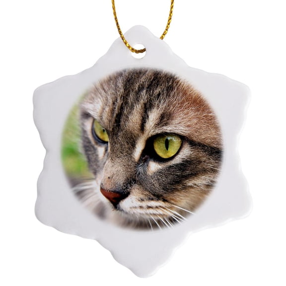 3dRose, Cat Tabby Cat, 3 inch Snowflake Porcelain Ornament