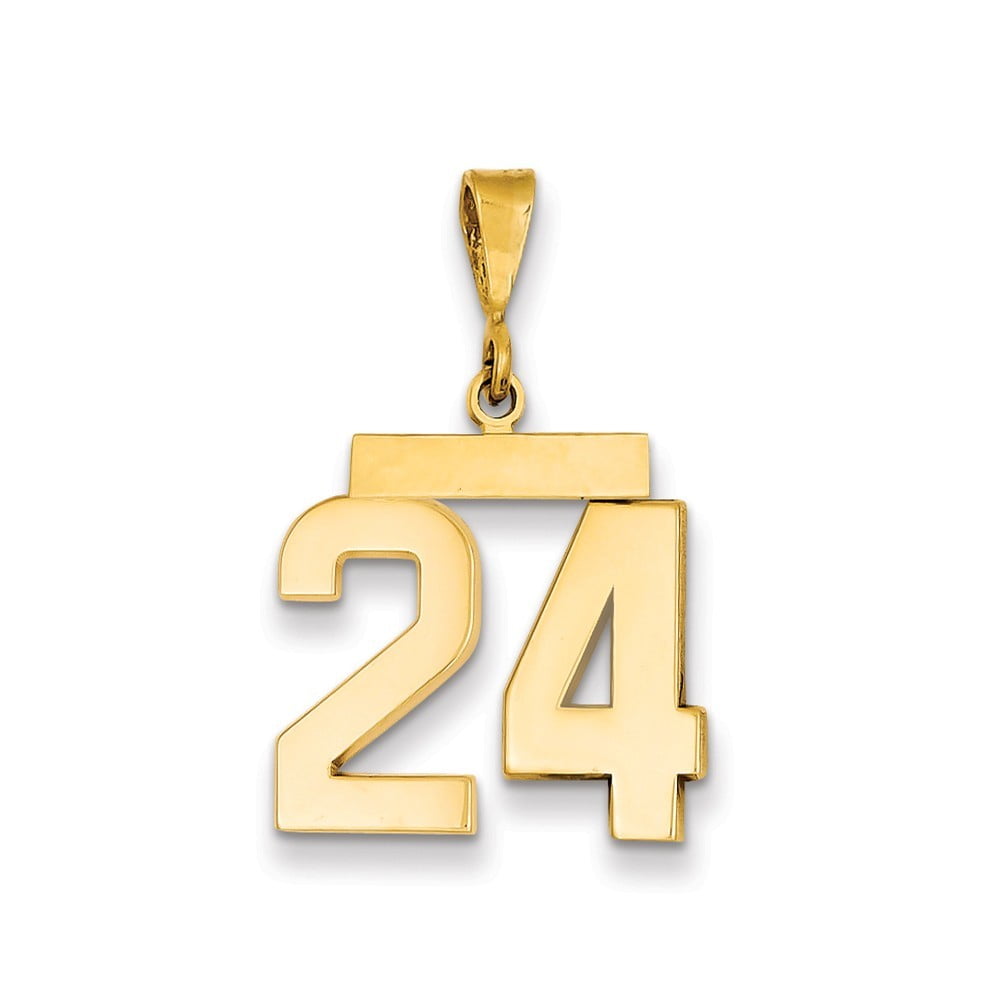 JewelryWeb 14k Medium Polished Number 24 Charm Jewelry