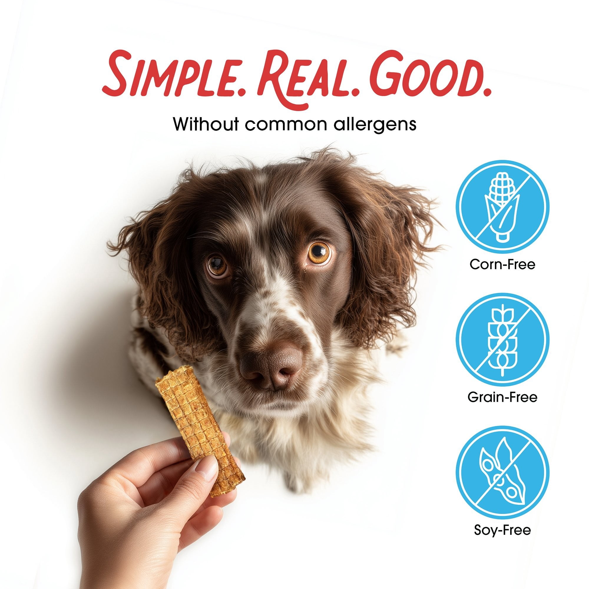 Farmland Traditions Dogs Love Chicken Jerky Dog Treats, Premium Two-Ingredient Dog Jerky with USA-Raised, Human-Grade Chicken & No Antibiotics Ever, 3-Pound Bag