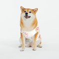 thumbnail image 3 of LNWH Rainbow Striped Clouds Pattern Dog Clothes, Breathable Warm Cotton Pet Clothes 4X-Large, 3 of 8