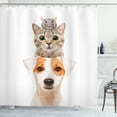 thumbnail image 1 of Animal Shower Curtain, Funny Portrait of Pets on Top of Each Other Staring at Camera Cat Dog Mouse, Fabric Bathroom Set with Hooks, 69W X 84L Inches Extra Long, White Multicolor, by Ambesonne, 1 of 3