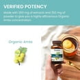 thumbnail image 6 of Himalaya Organic Amla supplement Natural Antioxidant for Immune Support, 60 Caplets, 6 of 7