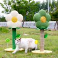 thumbnail image 3 of Grattoir Antidérapant, Exercice Stable pour Chatons, Vertical, Protection des Meubles, Blanc, 3 of 7