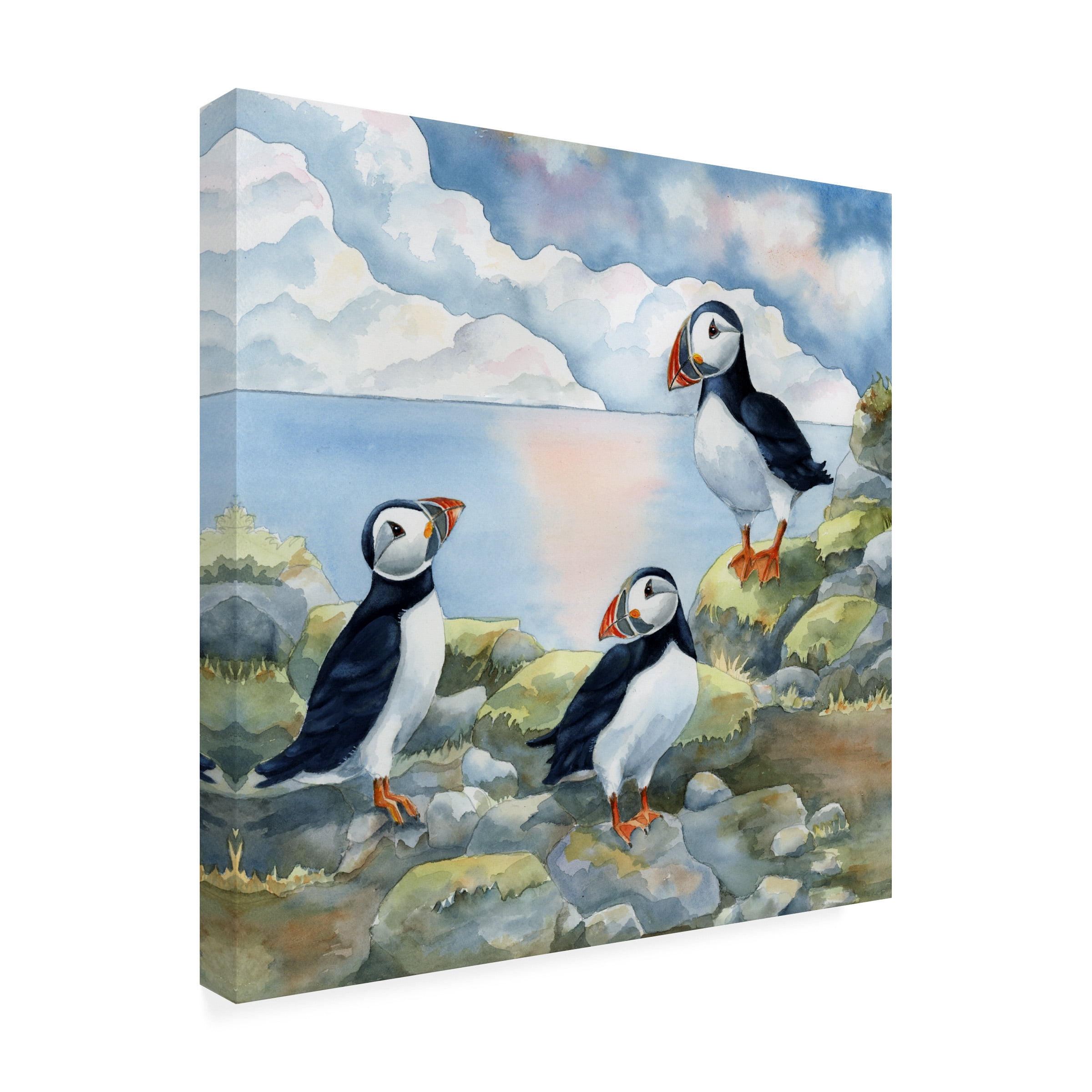 Tracy Miller 'Puffins On Cliff' Canvas Art