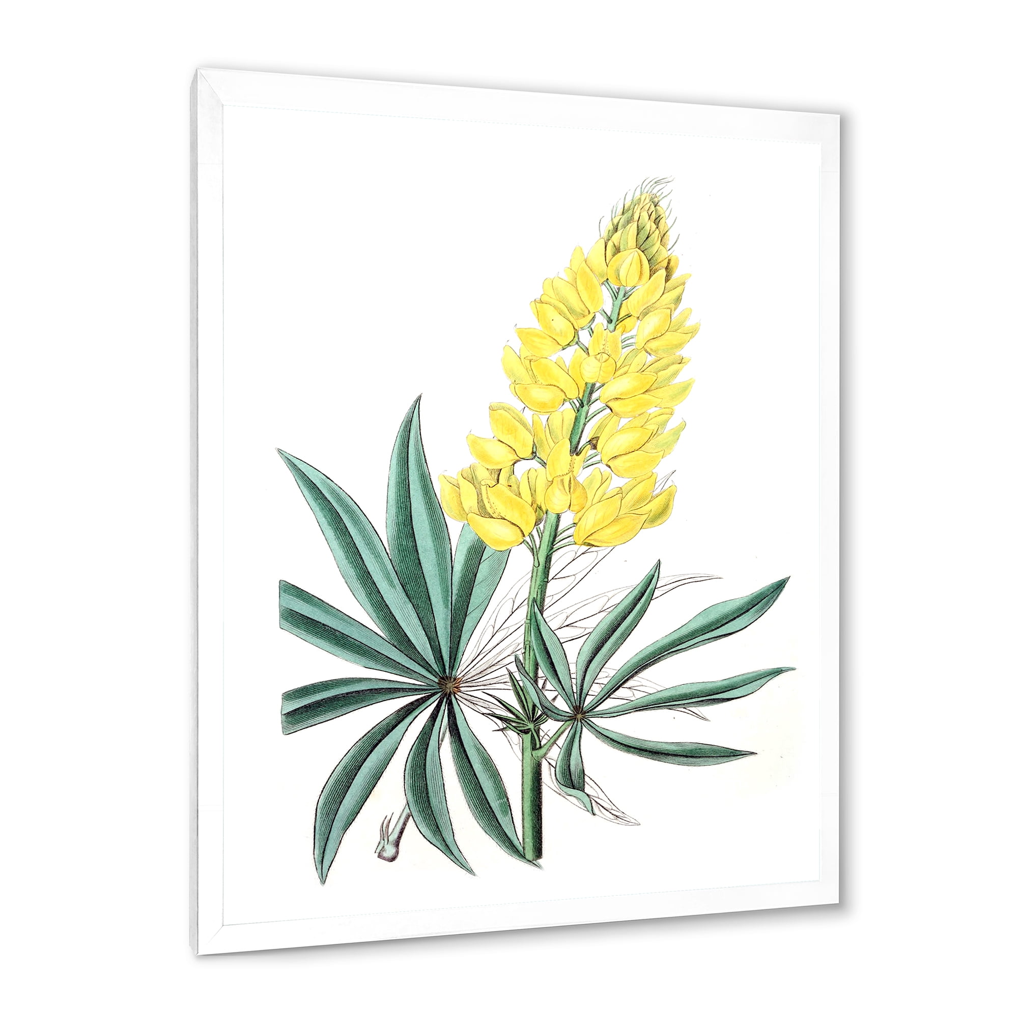 Designart 'Ancient Yellow Flower I' Traditional Framed Art Print