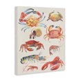 thumbnail image 2 of Stupell Industries Rustic Lodge Nautical Crustacean Collection Canvas Art, 16 x 20, by June Erica Vess, 2 of 8
