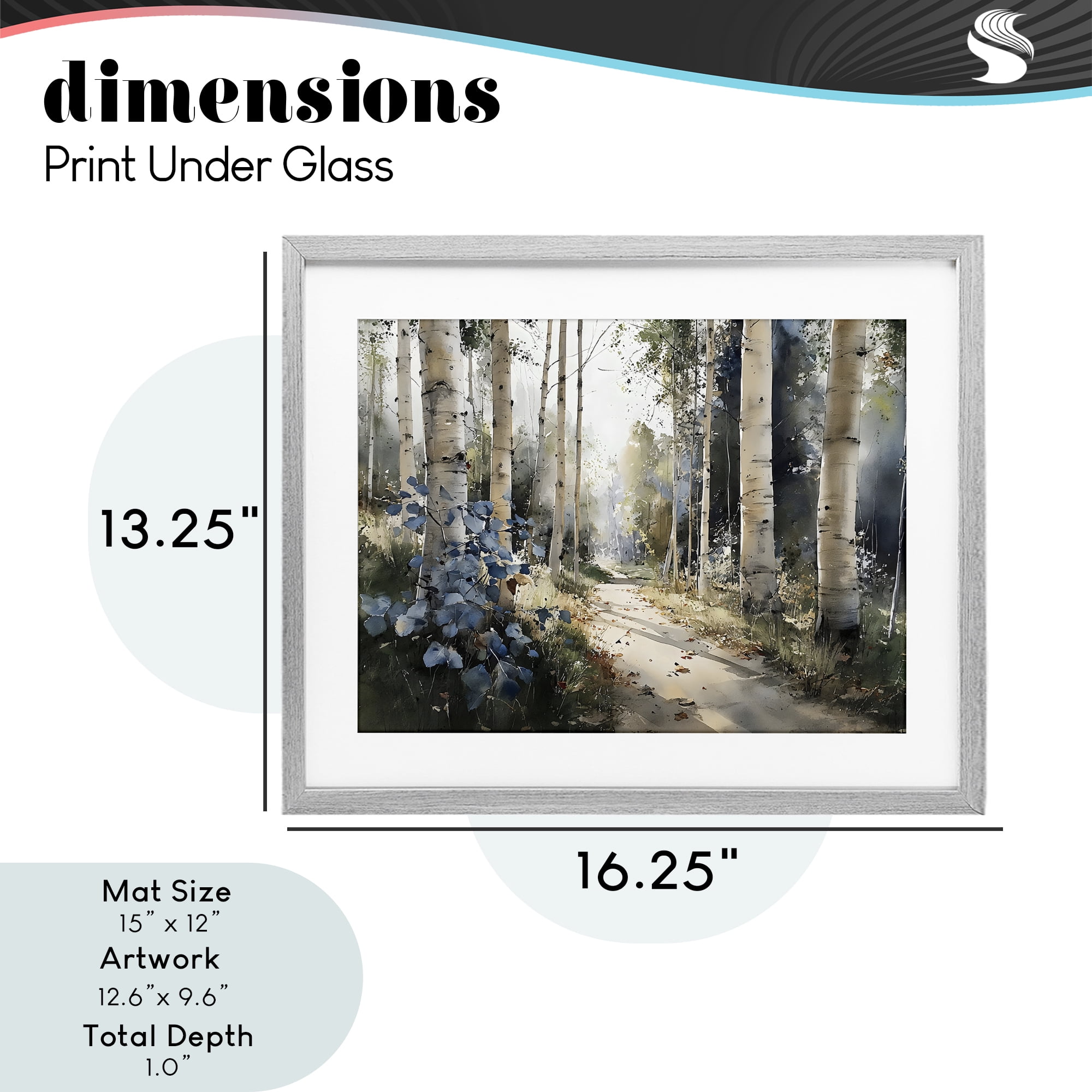 Stupell Industries Blue Birch Sunlit Forest Gray Framed Print Under Glass, design by Franklyn Gregory