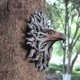 thumbnail image 5 of águila jardín árbol colgante estatua adornos patio jardín césped arte artesanías decorativas películas de fantasía accesorios, 5 of 9