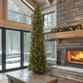thumbnail image 3 of National Tree Company 12 ft Pre-Lit Carolina Pine Slim Artificial Christmas Tree, 1,000 Clear Lights, 1,900 Tips, Includes Stand, Green, 3 of 8