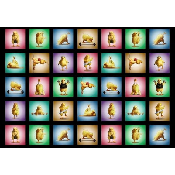 24" X 44" Panel Fitness Chicks Birds Animals Exercise Weights Cardio Bands Black Cotton Fabric Panel (41000BLACK)