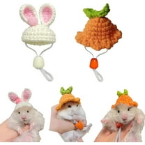2PCS Mini Hand Knitted Tiny Top Hats, Cute Pet Hat for Small Animals Like Hamsters Rats Snakes Lizards Guinea Pigs Clothes for Holiday Party Clothes Photo Props