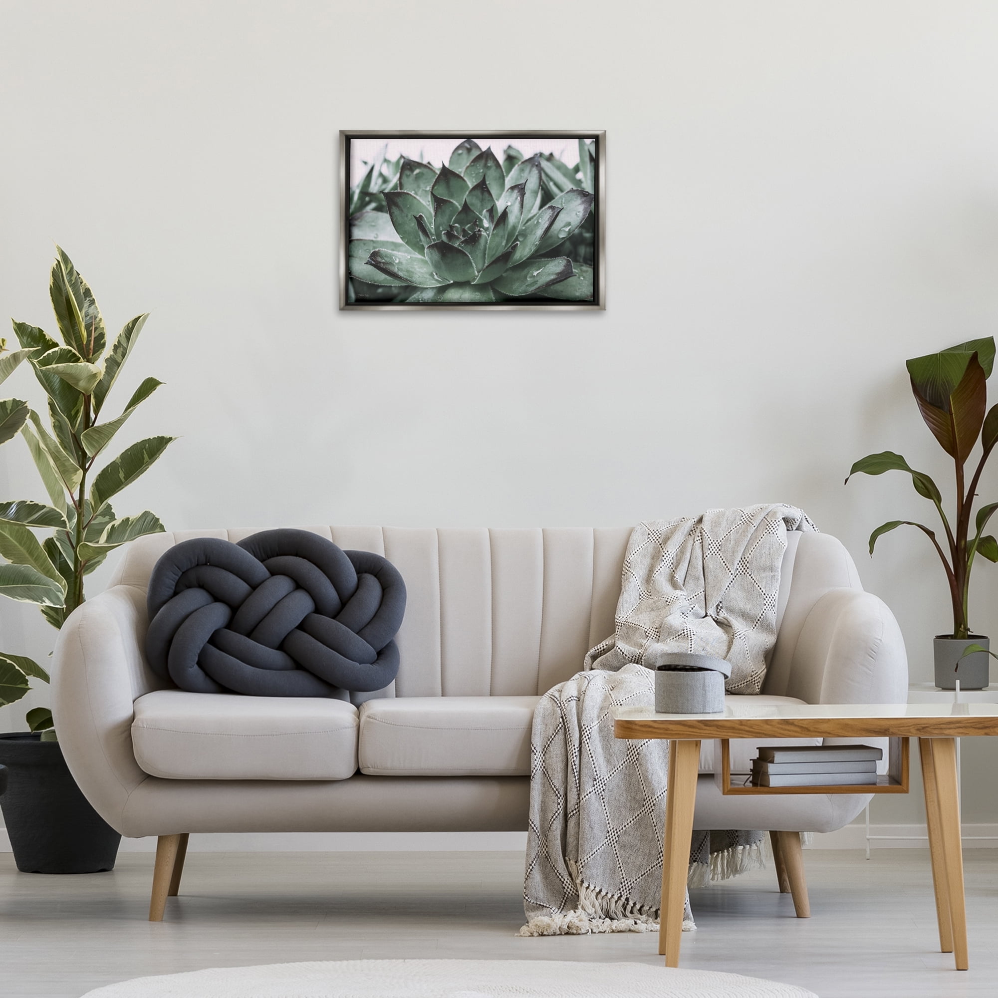 Stupell Industries Succulent with Rain Droplets Plants & Flowers Painting Gray Floater Framed Canvas Art Print Wall Art, 25 x 17