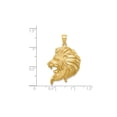 thumbnail image 2 of Gem & Harmony 14K Yellow Gold Large Lion Head Charm Pendant Necklace with Chain for Women, 2 of 5