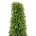 thumbnail image 5 of Northlight 5' Artificial Boxwood Cone Topiary Tree with Round Pot, Unlit, 5 of 5