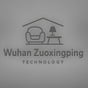 Wuhan Zuoxingping Technology profile photo
