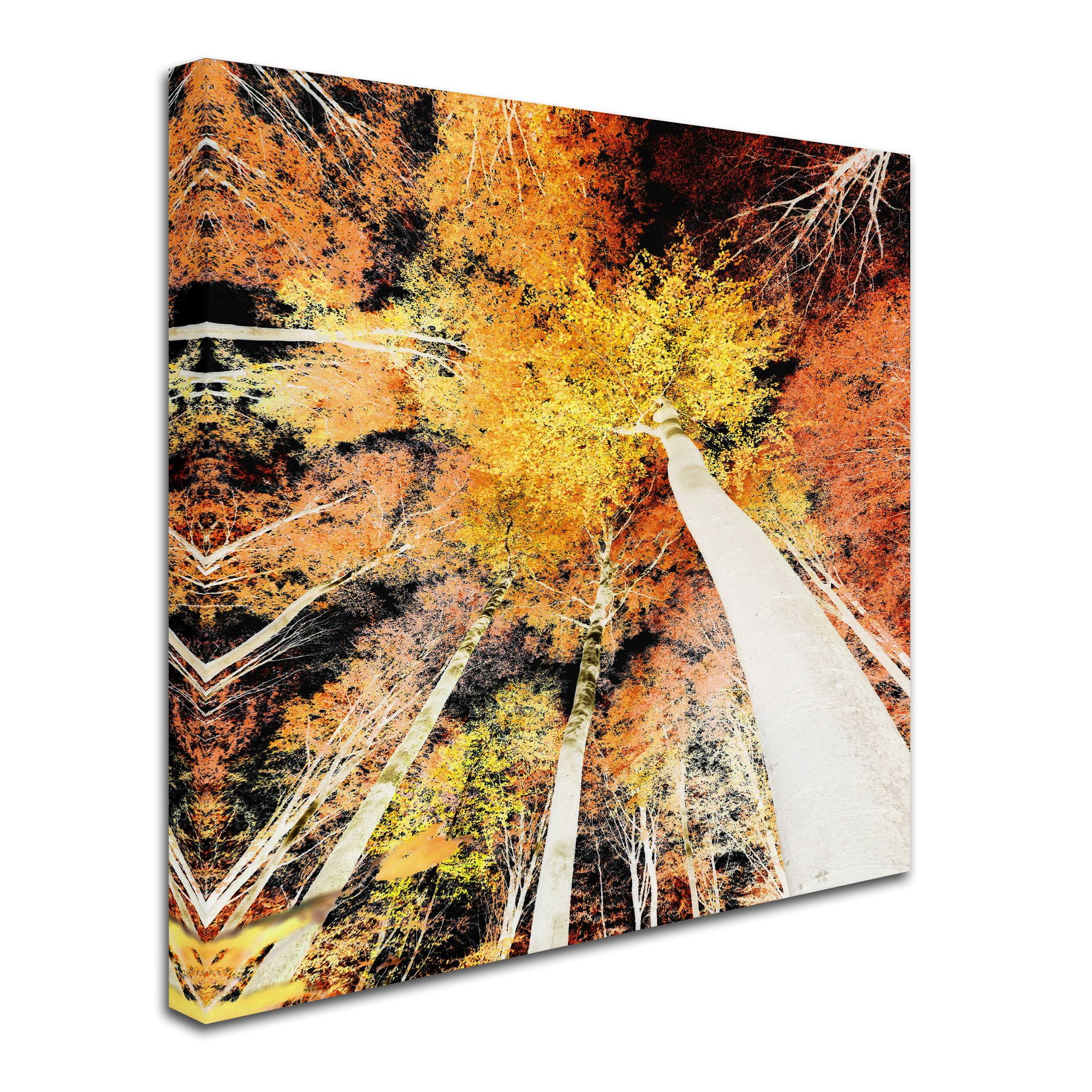Trademark Fine Art "Damn Nation" Canvas Art by Philippe Sainte-Laudy