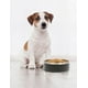 thumbnail image 2 of Plato para mascota Storyland 1.2 L, 2 of 3