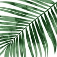 thumbnail image 3 of Miller, Melonie 20x20 Black Modern Framed Museum Art Print Titled - Tropical Green Palm I, 3 of 5