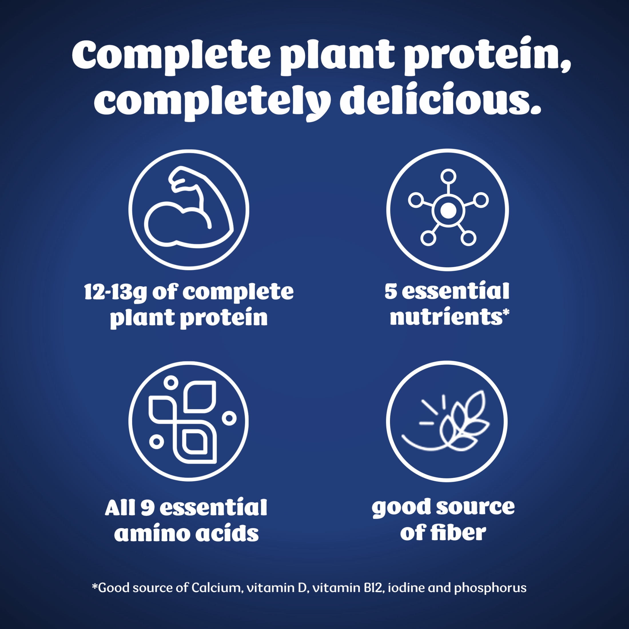 Silk Protein Vanilla Soy Milk Yogurt Tub, Plant-Based with 13g Protein, 4g Fiber, 24 oz