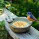 thumbnail image 3 of 26-27 Ceramic Bird Bath, Creative Bird Feeder - Bird Bathtub - Garden Decoration, 3 of 5