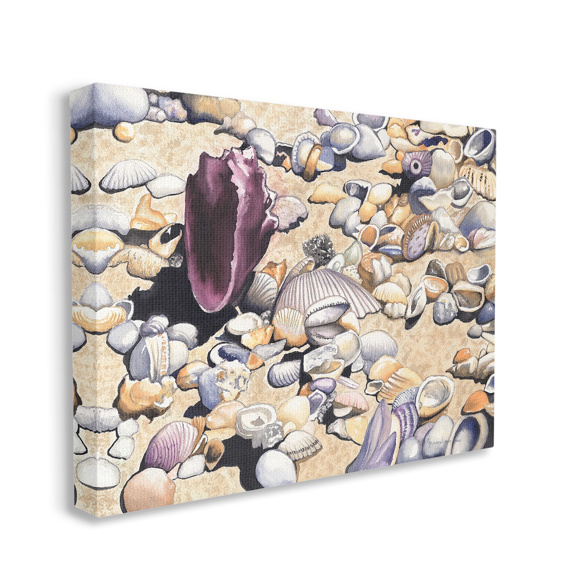 Stupell Industries Various Seashells on Coast Landscape Painting Gallery Wrapped Canvas Art Print Wall Art, 30 x 24