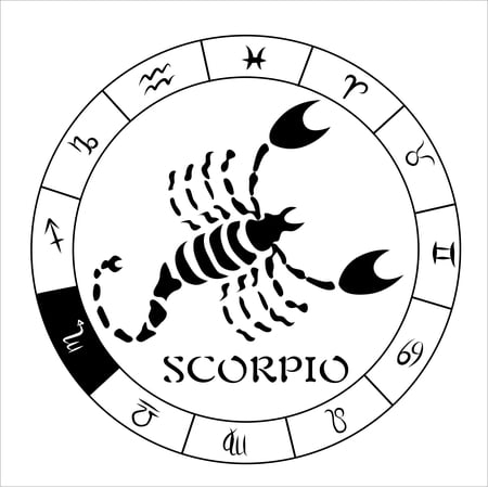 Scorpio the Scorpion with Zodiac Symbol Artwork for Living Room Vinyl Wall Decal - Constellation Wheel Symbols Art Design for Bedroom Wall Decoration - Unique Horoscope Sign for the Birth Months of Oc