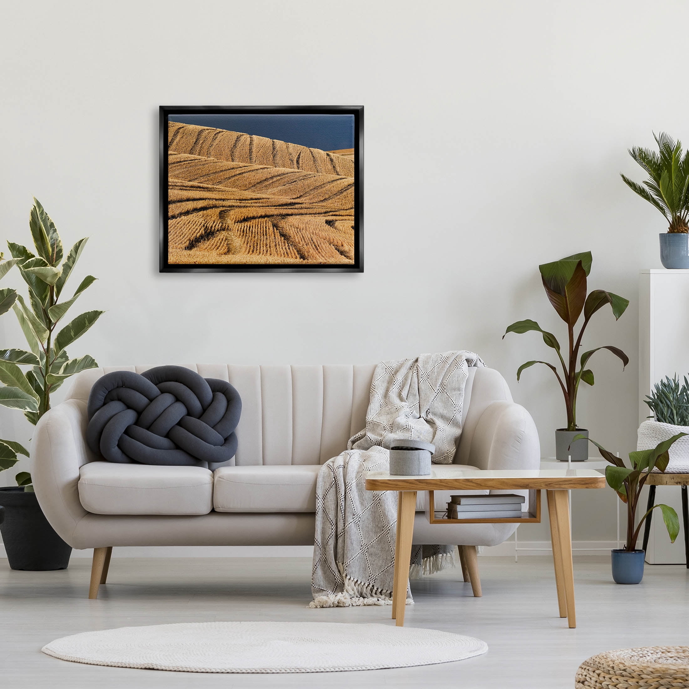 Stupell Industries Wavy Cornfield Lines Vast Rural Field Photograph Jet Black Floating Framed Canvas Print Wall Art, Design by David Lorenz