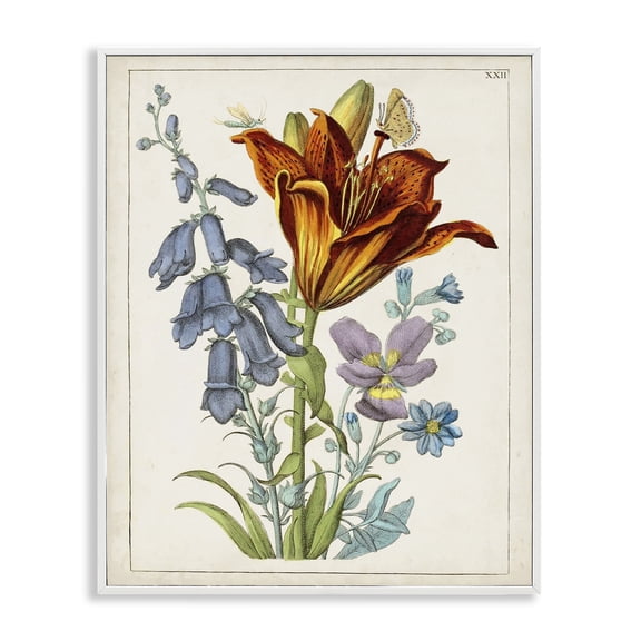Stupell Industries Cottage Bugs & Vintage Flowers White Framed Giclee Art, 11 x 14, by World Art Group