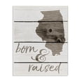 thumbnail image 2 of The Stupell Home Decor Collection Born And Raised Illinois Wall Plaque, 2 of 5