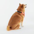 thumbnail image 2 of Daiia Pumpkins Print Pet Scarf, Adjustable Pet Bandana, Reflective Dog Bandana with Buckle, Durable Pet Accessory Fashionable Pet Neckwear-Large, 2 of 7