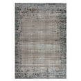 thumbnail image 2 of Rug Branch Collection Sakarya Tapis d'intérieur vieilli oriental, 2 of 6