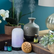 Airome 100 mL Ultrasonic Essential Oil Diffuser, White Harmony