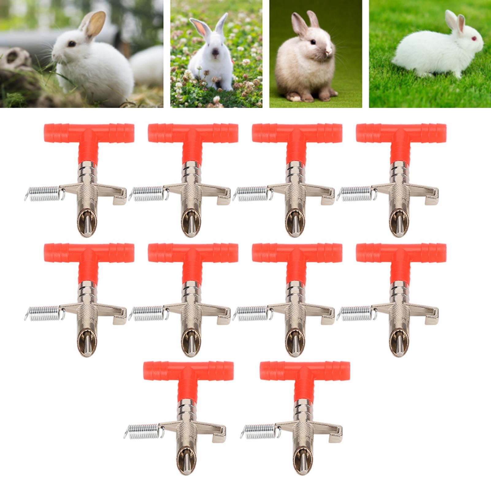 Nipple Drinkers 100Pcs Rabbit Water Red Pet Feeder\t nt Ferret Mouse White 