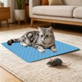 thumbnail image 2 of Cooling Mat for Dogs Cats Portable Pet Cooling Pad Non Slip Washable Large Puppy Ice Pad for Crate Sofa Floor Hot Weather Relief, 2 of 7