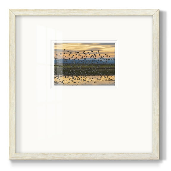 Sunset FlightPremium Framed Print